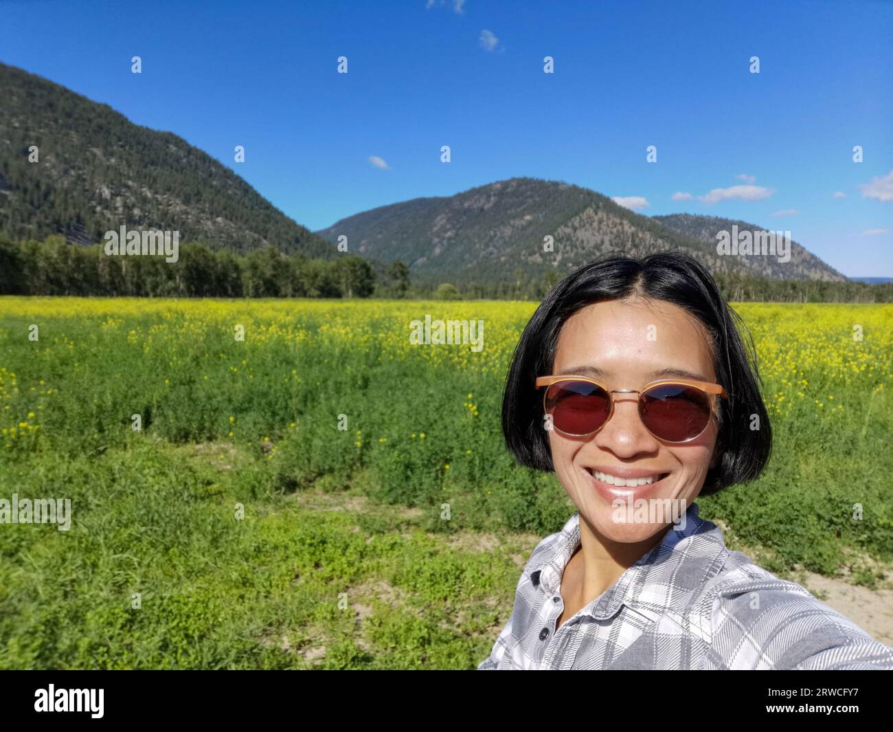 Touriste féminine prenant selfie au champ de moutarde à Keremeos, vallée de l'Okanagan, Colombie-Britannique Canada en saison estivale. Banque D'Images