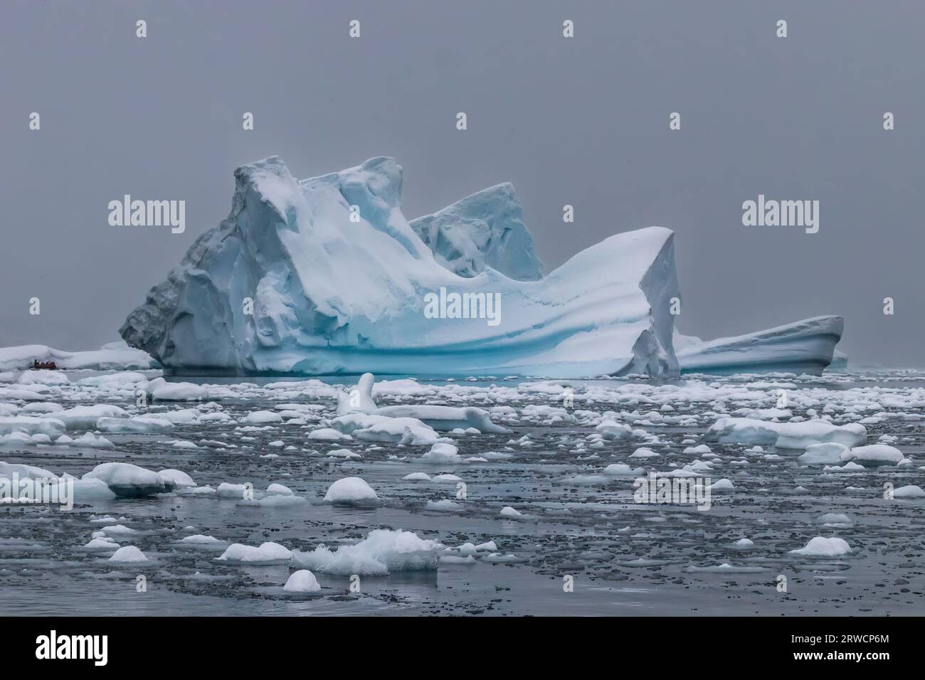 Iceberg avec glace bleue et blanche près de la péninsule antarctique. Ciel gris enneigé en arrière-plan ; eau calme en premier plan couverte de coulées de glace. Banque D'Images