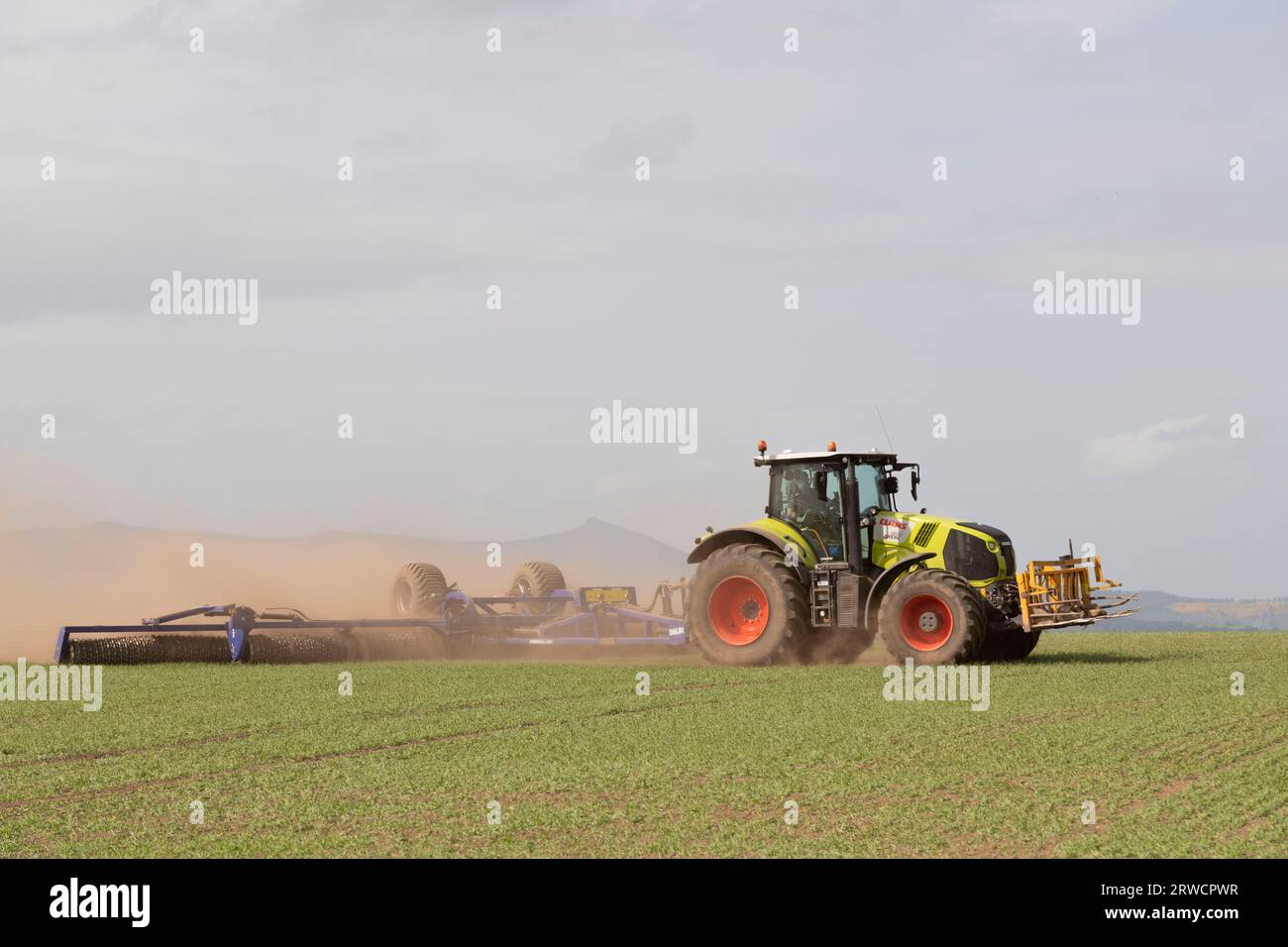 Tracteur Claas Axion 850 remorquant un Dalbo Powerroll 1530 sur un champ d'orge de printemps par temps sec dans l'Aberdeenshire avec vue sur Bennachie Banque D'Images