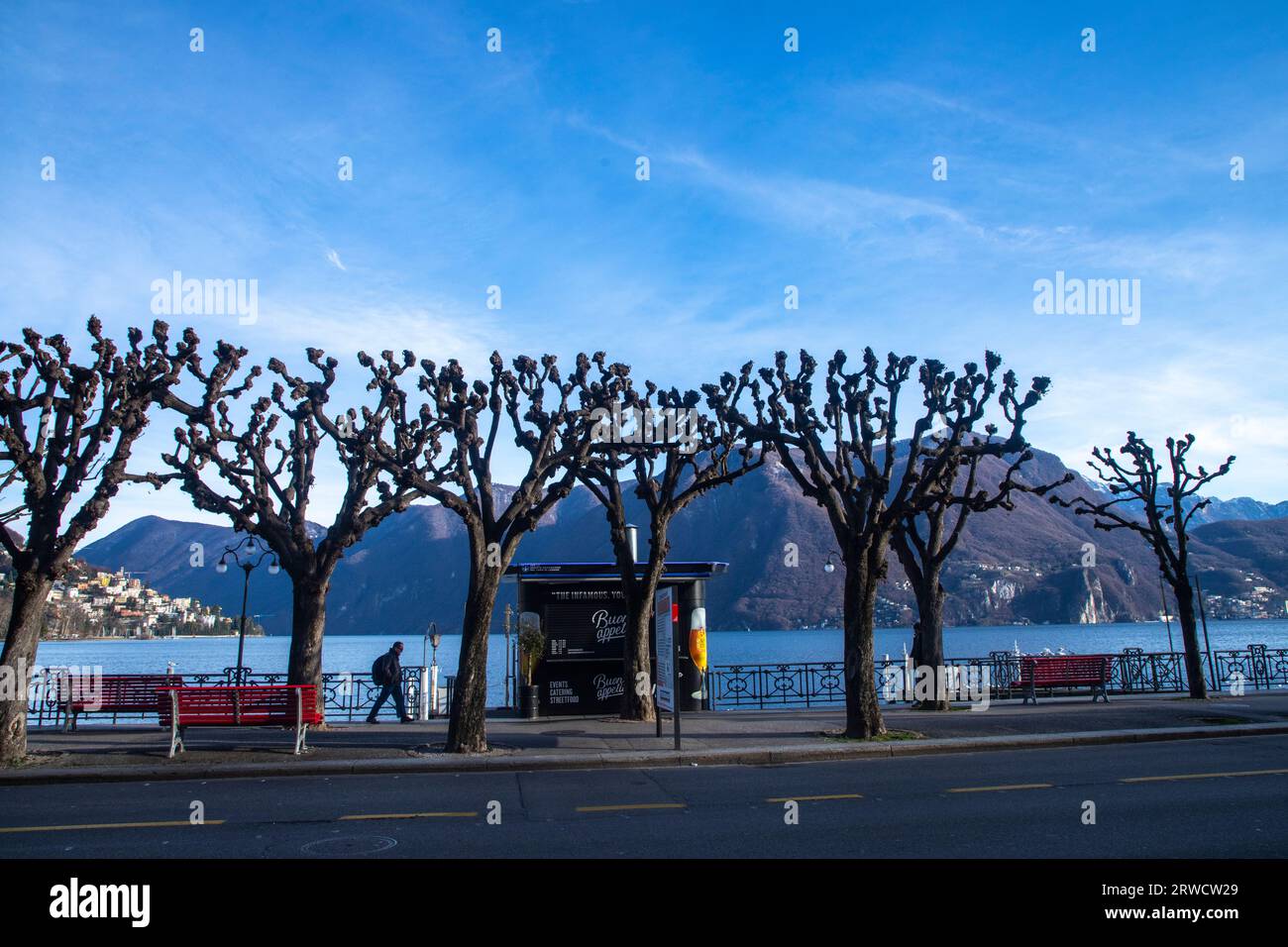 Lugano, Suisse, 21 janvier 2023 : front de mer de Lugano, Tessin, Suisse, lac de Lugano avec sycomores d'hiver. Banque D'Images