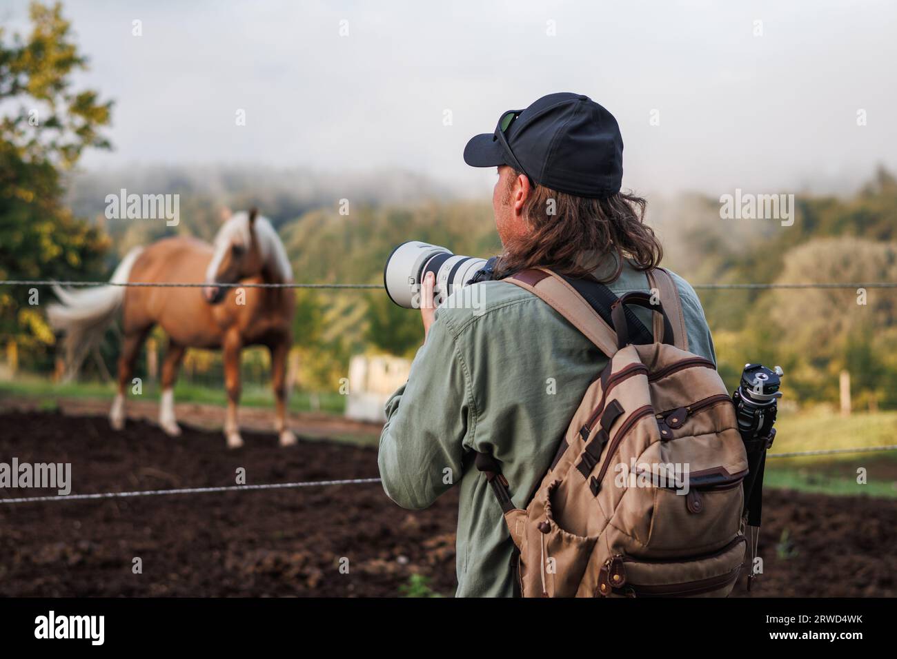 Homme photographe avec appareil photo et téléobjectif photographiant le cheval au ranch Banque D'Images