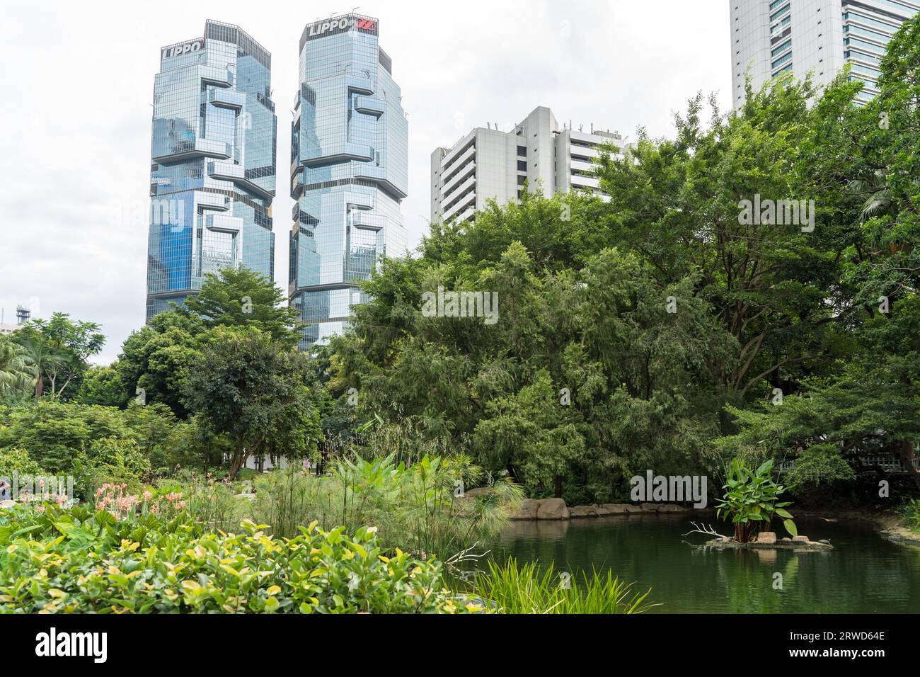 Étang et jardin dans Hong Kong Central Park par une journée ensoleillée au milieu de la ville entouré de gratte-ciel. Hong Kong - 31 août 2023 Banque D'Images