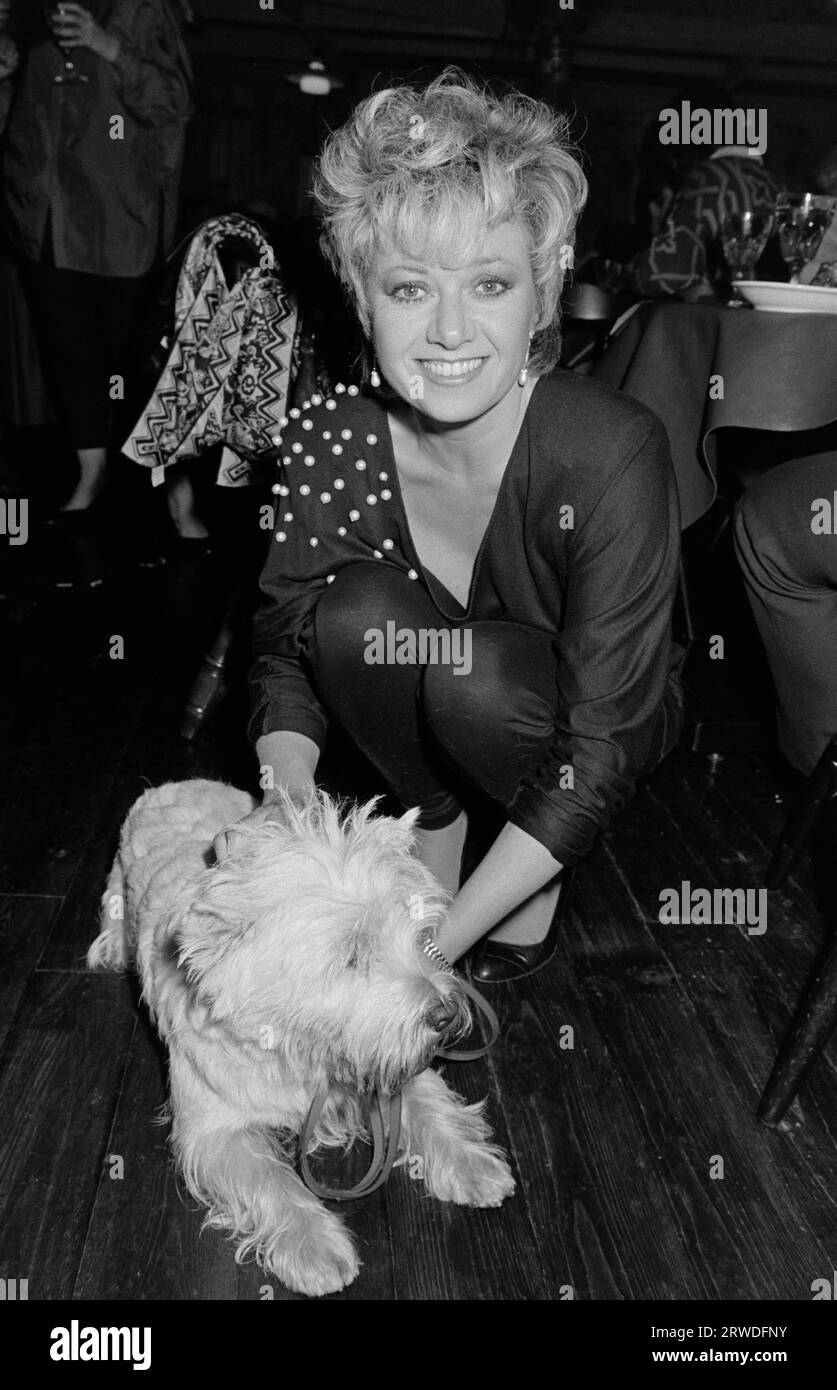 LONDRES, ROYAUME-UNI. 6 novembre 1986 : actrice / chanteuse Elaine Paige à la première soirée de « Allo Allo » au Prince of Wales Theatre à Londres. Photo © Paul Smith/Featureflash Banque D'Images