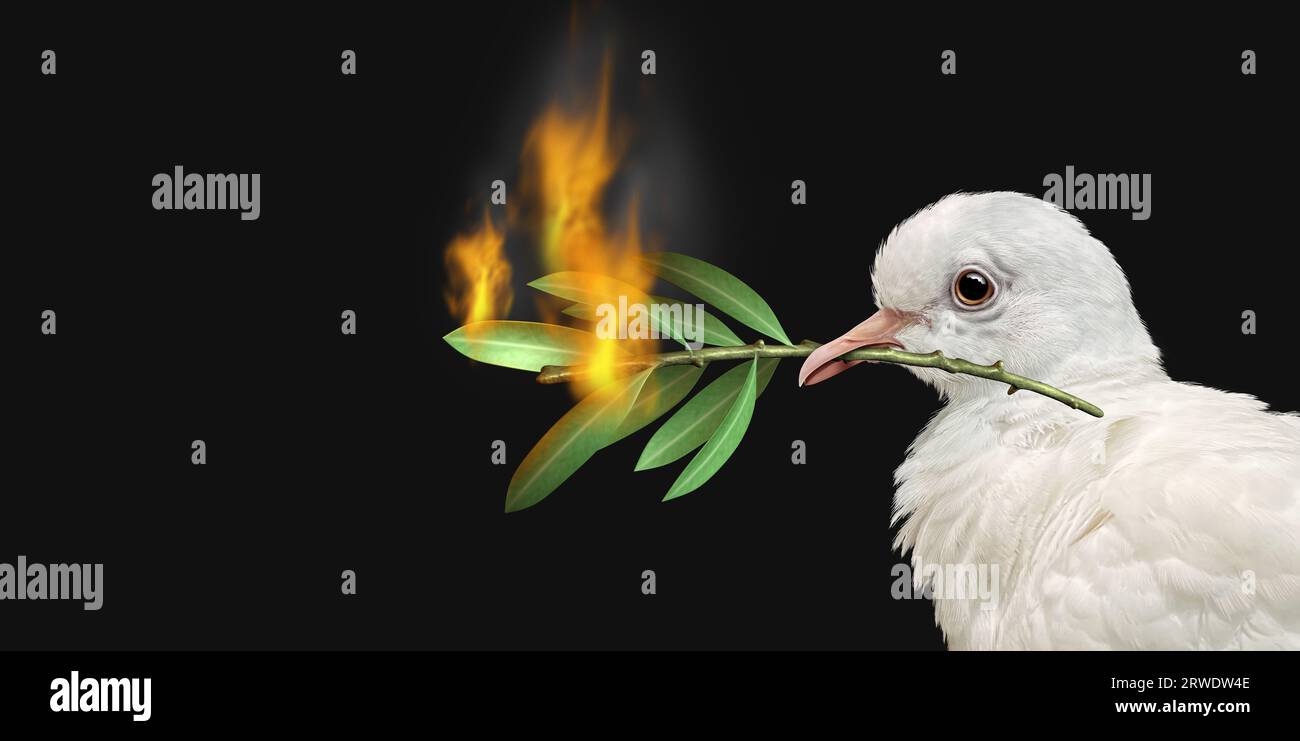 Concept de crise de paix avec une colombe blanche et un rameau d'olivier brûlant comme symbole des défis de la guerre et de la révolution et de la recherche insaisissable Banque D'Images