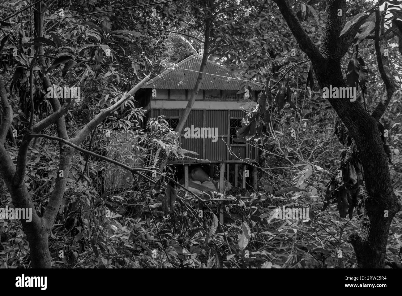 Maison ancienne dans une nature verdoyante de Ruhitpur, Bangladesh le 5 septembre 2022 Banque D'Images