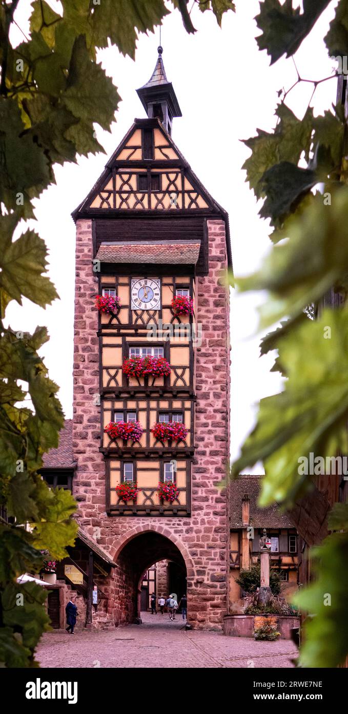 Tour haute dans le Riquewihr historique en Alsace France Banque D'Images