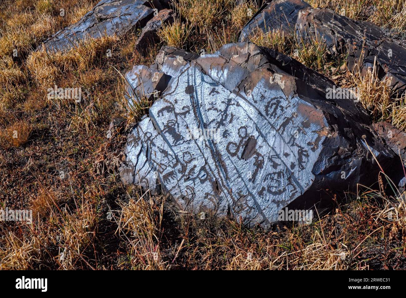 Pictogrammes anciens gravés sur rock le Saimaluu site Tash au Kirghizstan Banque D'Images