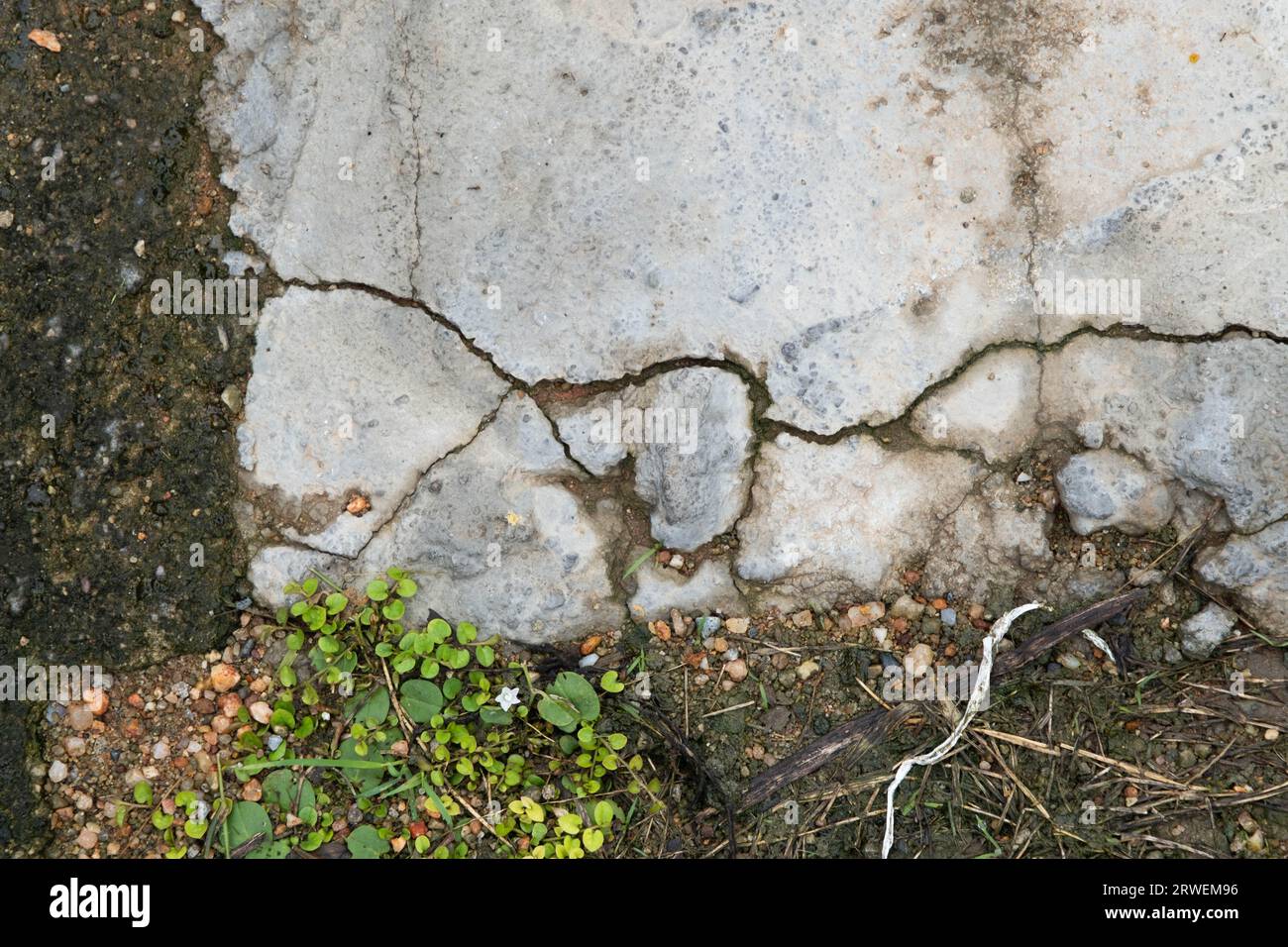 Murs ou planchers en béton de ciment grunge avec fissure. Fond abstrait de mur de béton de fissure. Fond de gros plan de texture de béton fissuré. Banque D'Images