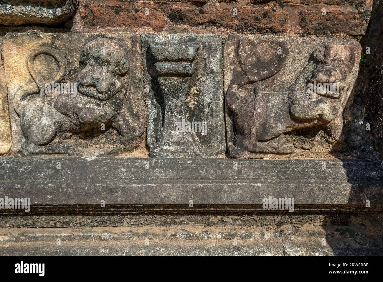 Sculptures de lions sculptées en pierre au Salu Unana Mandapa qui se trouve à côté du Kumara Pokuna, les bains royaux de Polonnaruwa au Sri Lanka. Banque D'Images