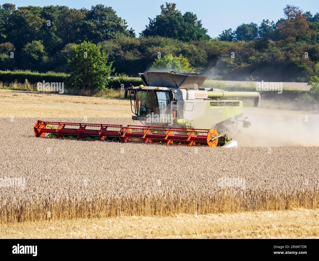 Un agriculteur récoltant un champ de blé à Cley Next the Sea, Norfolk, Royaume-Uni. Banque D'Images