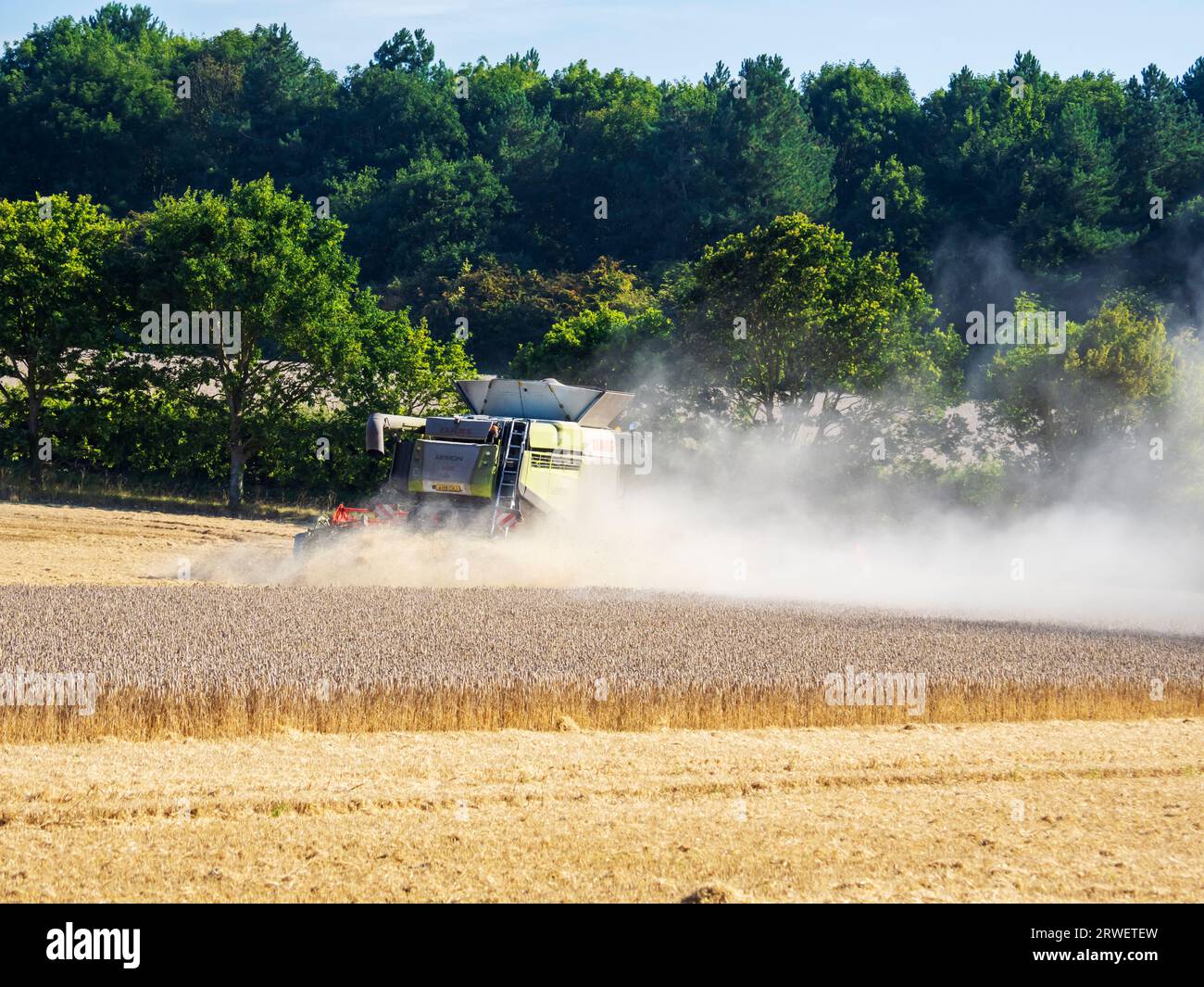 Un agriculteur récoltant un champ de blé à Cley Next the Sea, Norfolk, Royaume-Uni. Banque D'Images