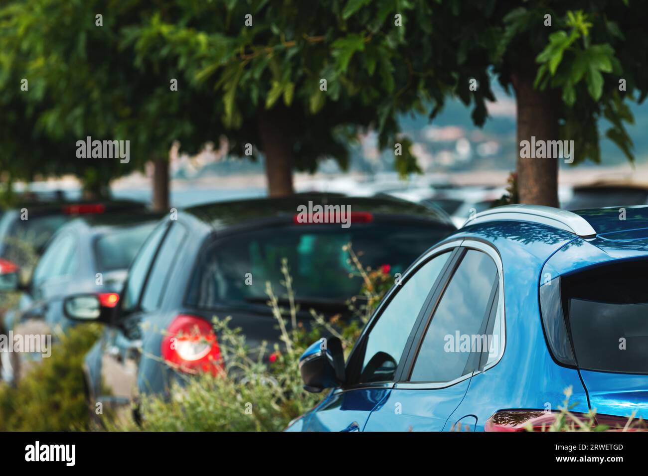 Voitures garées sur le parking avec des arbres, mise au point sélective Banque D'Images
