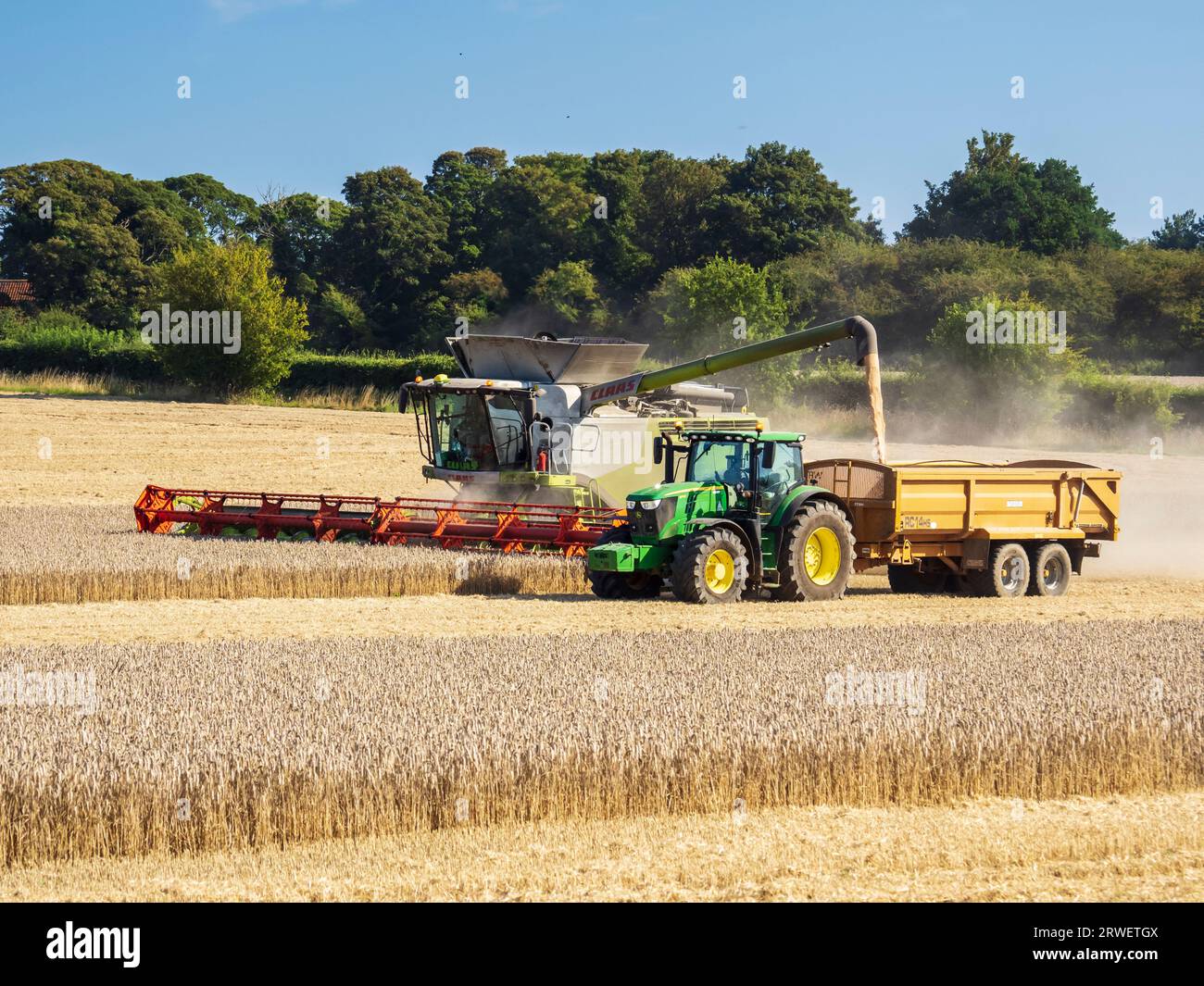 Un agriculteur récoltant un champ de blé à Cley Next the Sea, Norfolk, Royaume-Uni. Banque D'Images