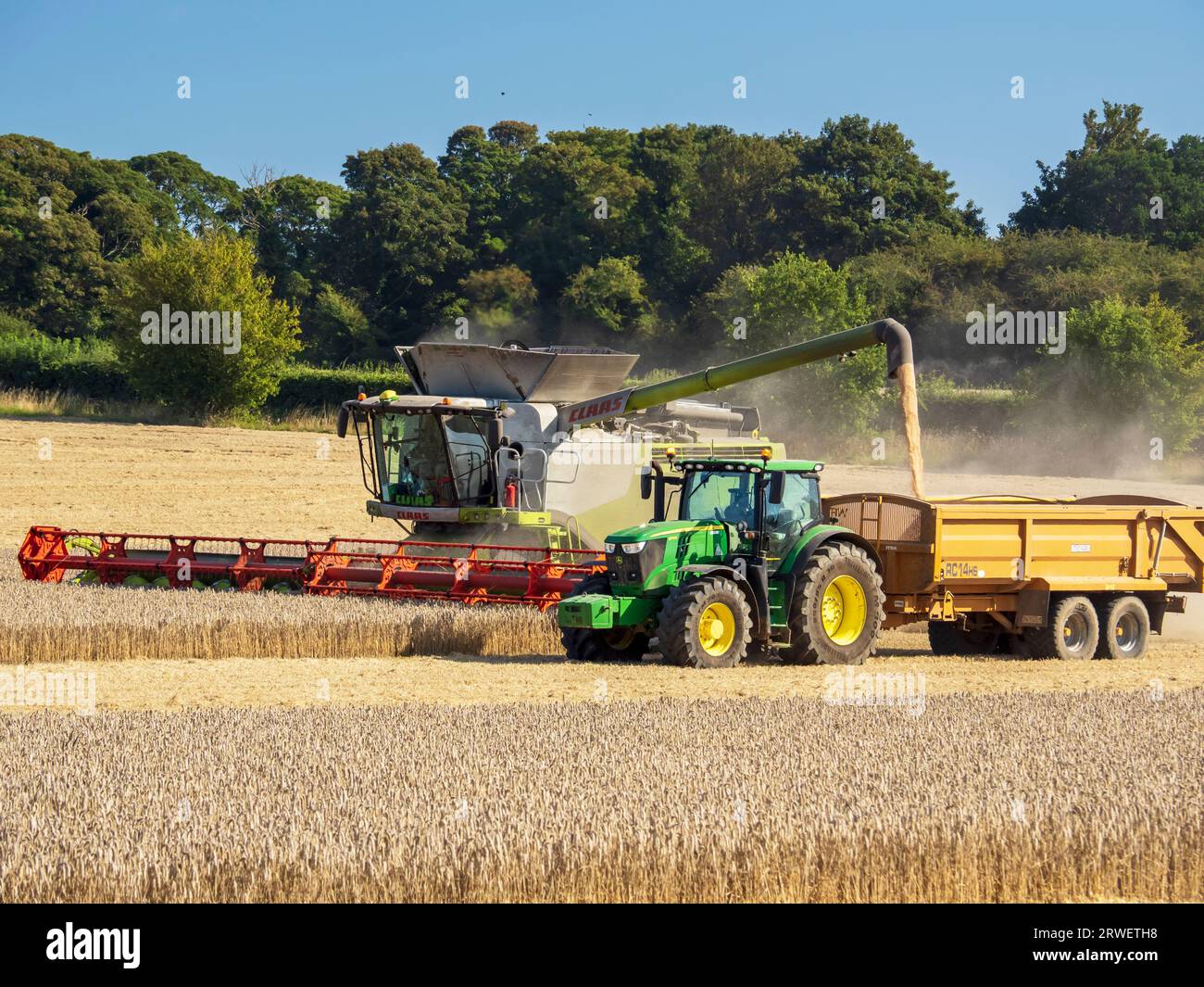 Un agriculteur récoltant un champ de blé à Cley Next the Sea, Norfolk, Royaume-Uni. Banque D'Images