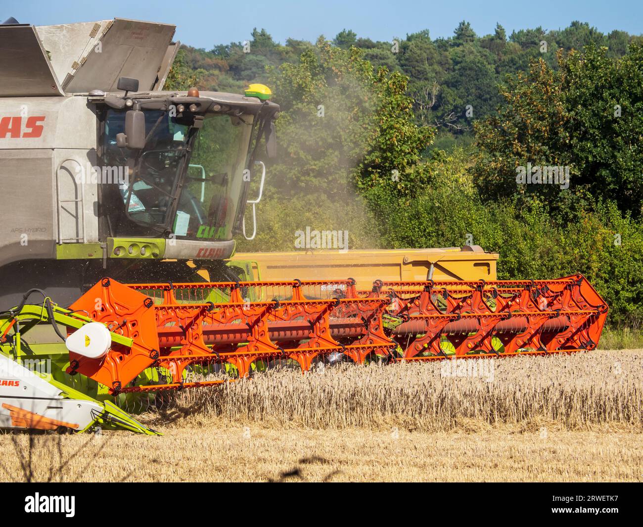 Un agriculteur récoltant un champ de blé à Cley Next the Sea, Norfolk, Royaume-Uni. Banque D'Images