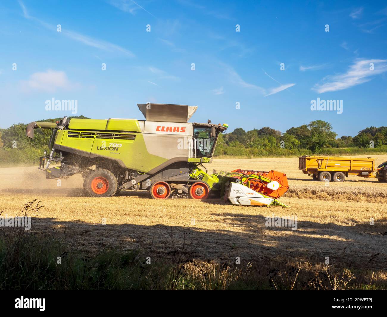 Un agriculteur récoltant un champ de blé à Cley Next the Sea, Norfolk, Royaume-Uni. Banque D'Images