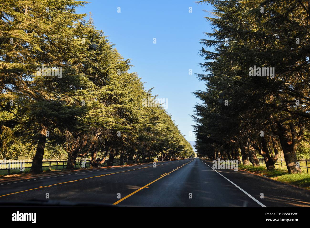 Route près de la ville danoise de Solvang, Californie Banque D'Images