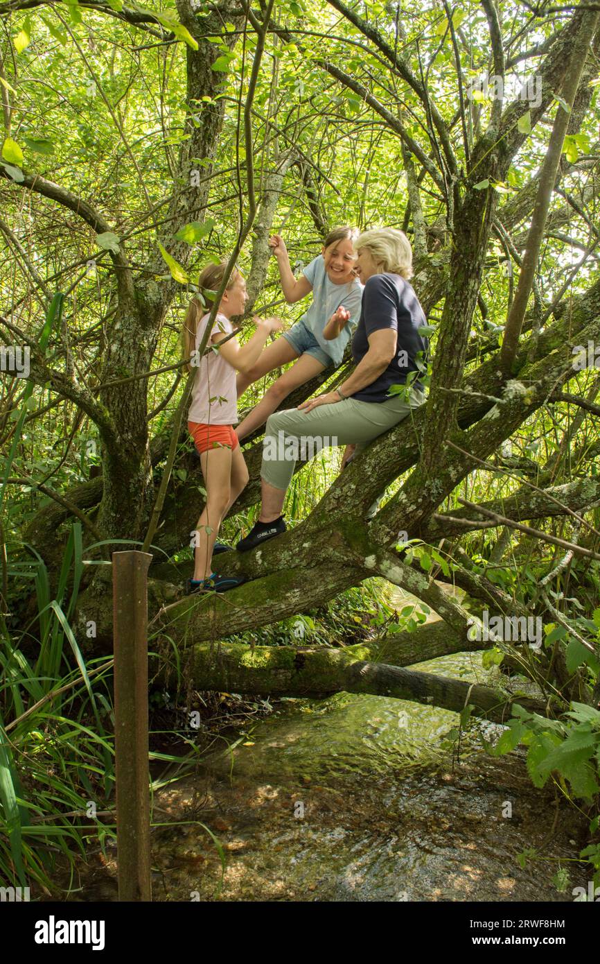 grand-mère grimpant dans un arbre avec des petits-enfants, des filles, ayant une aventure hors des portes dans la campagne Banque D'Images