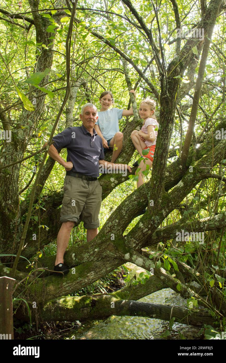 Grand-père grimpant dans un arbre avec deux petits-enfants, des filles, ayant une aventure hors des portes dans la campagne, Sussex, Royaume-Uni Banque D'Images