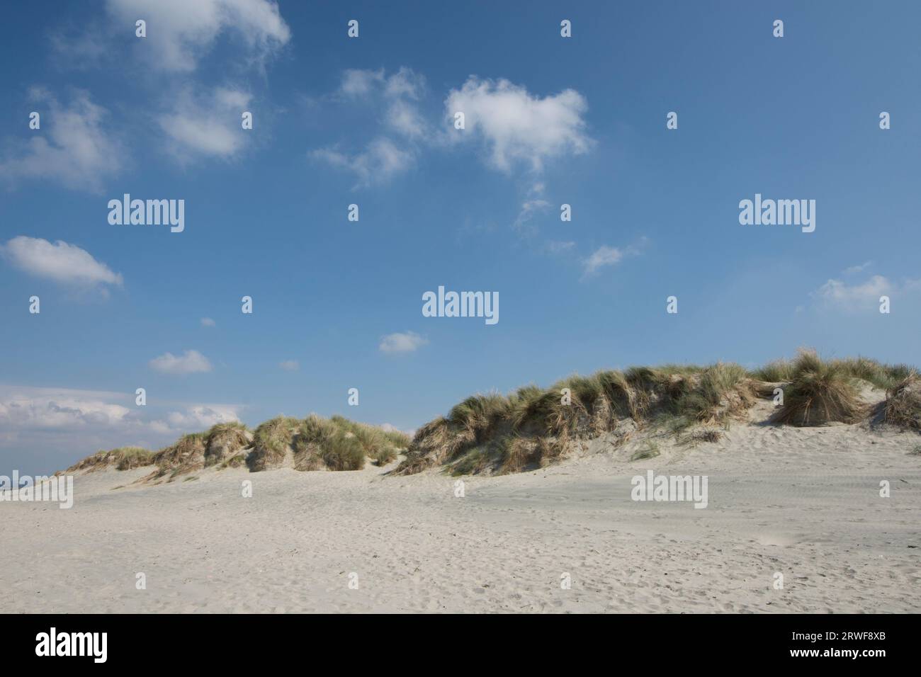 Dunes de sable d'East Head, Chichester Harbour, West Sussex, herbe marrame et ciel, septembre Banque D'Images