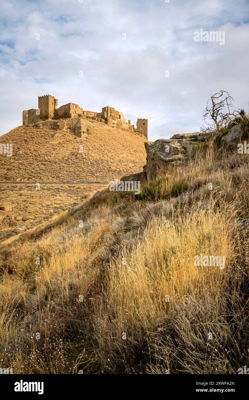 Château de Montearagón, XI siècle, municipalité de Quicena, Huesca, déclaré Monument National en 1931, cordillera pirenaica, provincia de Huesca, Ara Banque D'Images