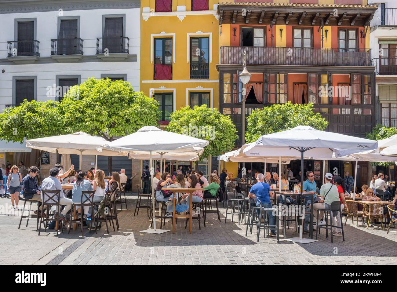 Café en plein air typique à Séville, Andalousie, Espagne. Banque D'Images