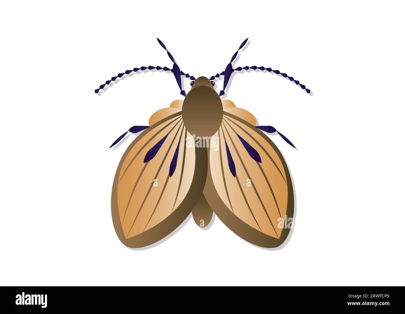 Moth Fly Insect Vector Art isolé sur fond blanc Illustration de Vecteur