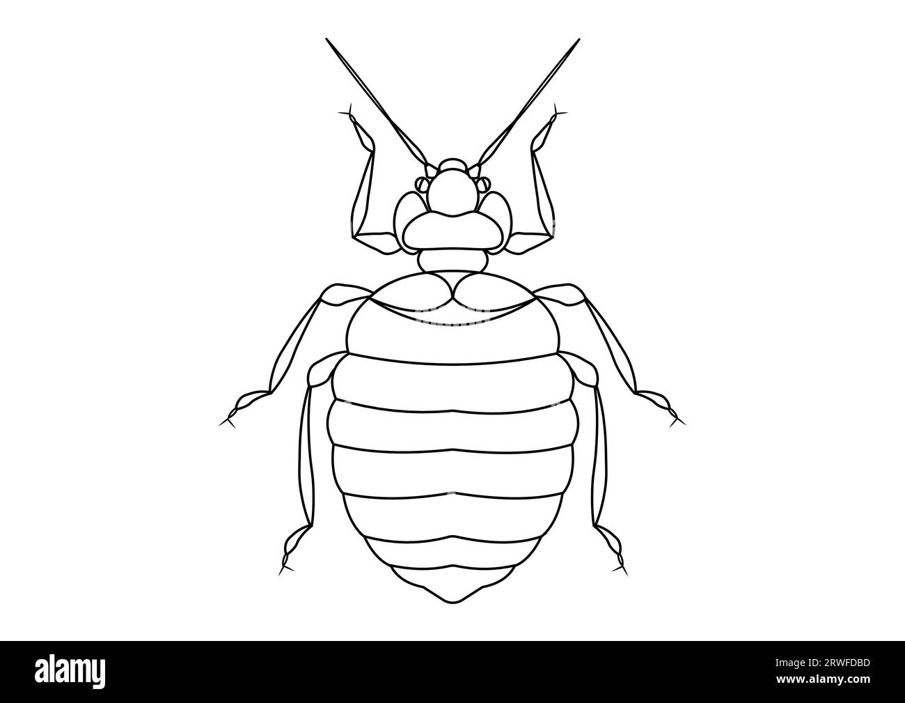 Clipart Bug de lit noir et blanc. Coloriage de lit Bug Illustration de Vecteur