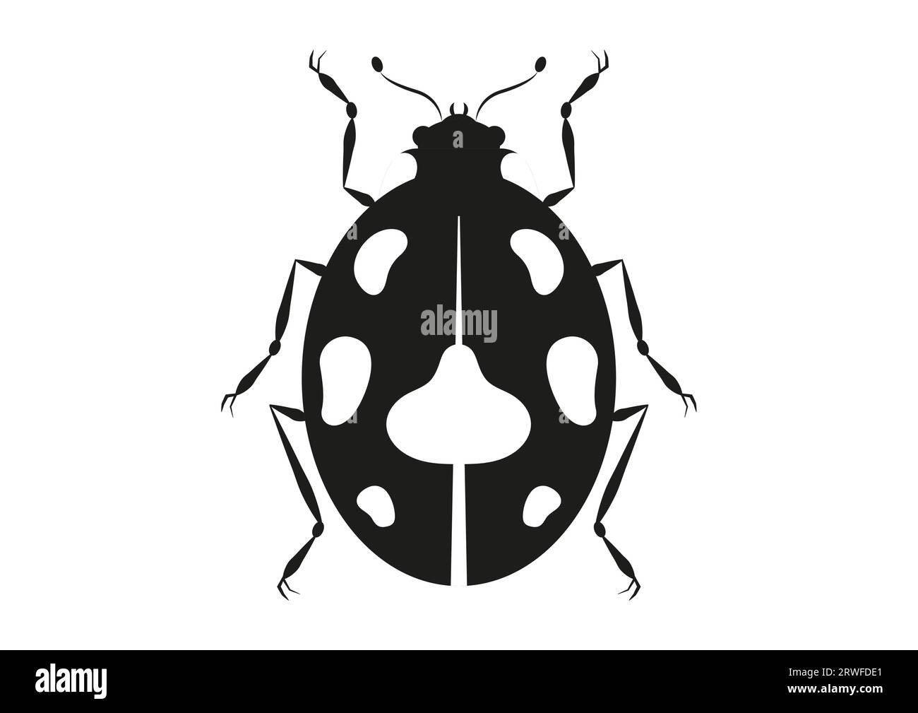 Silhouette Beetle noir et blanc dans le vecteur de style plat Illustration de Vecteur