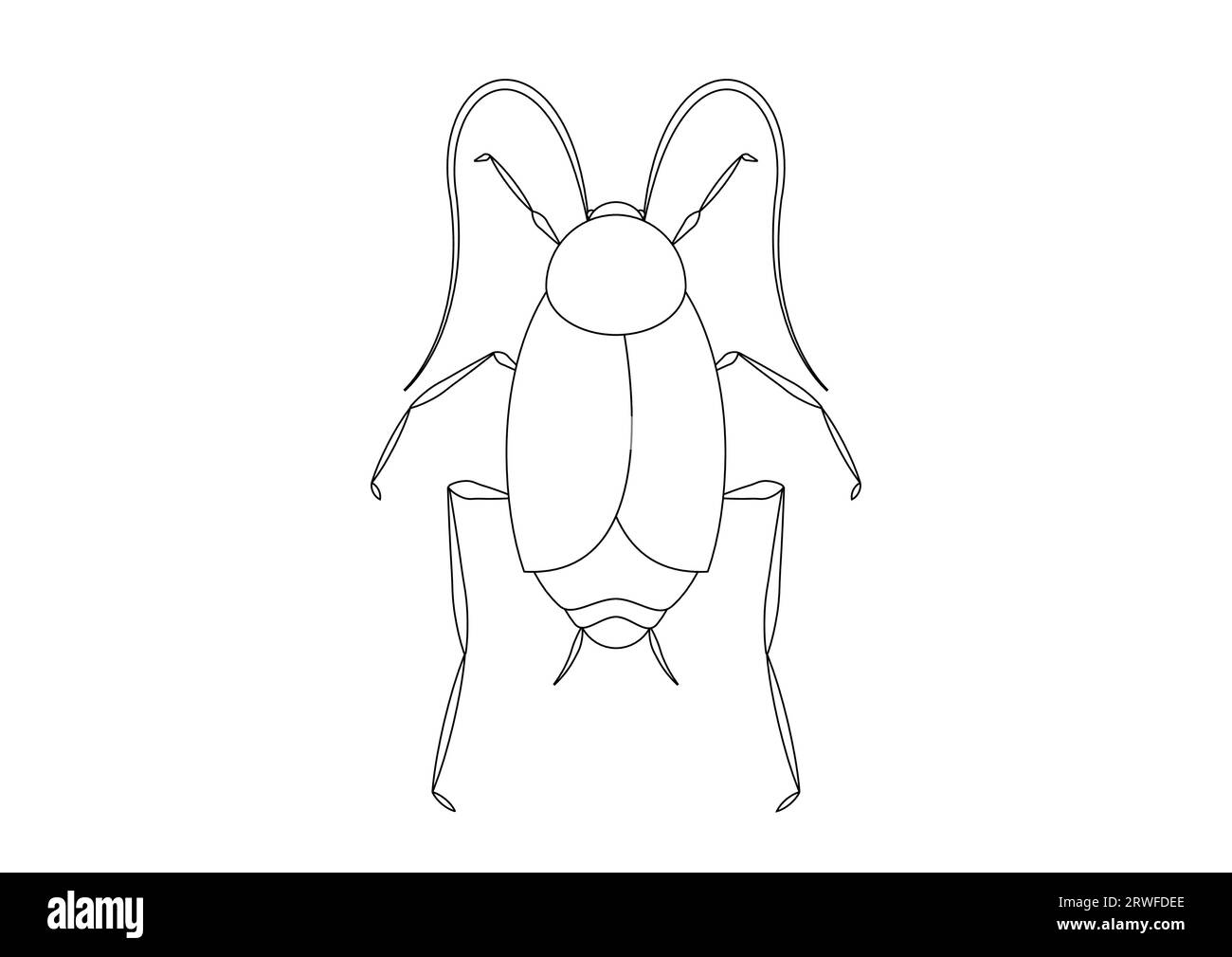 Noir et blanc Oriental cafard Clipart Vector isolé sur fond blanc. Coloriage d'un cafard oriental Illustration de Vecteur