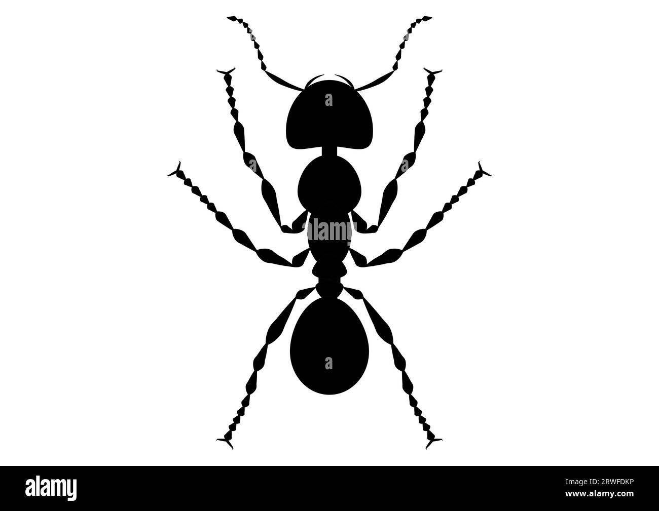 Noir et blanc Ant Clipart Illustration de Vecteur