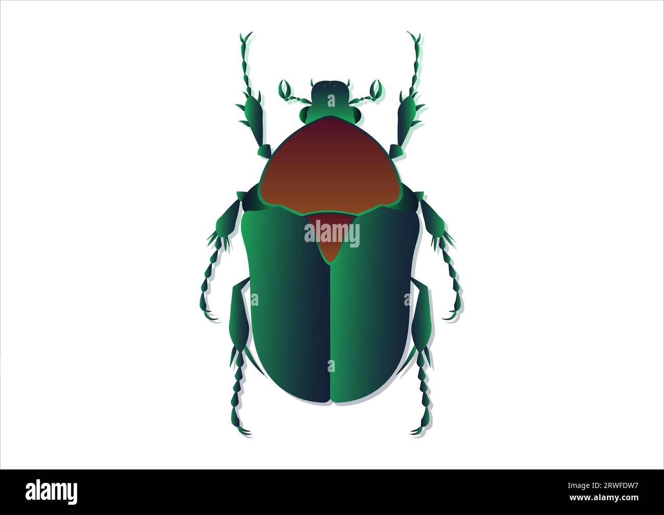 Protaetia Beetle Vector Art isolé sur fond blanc Illustration de Vecteur