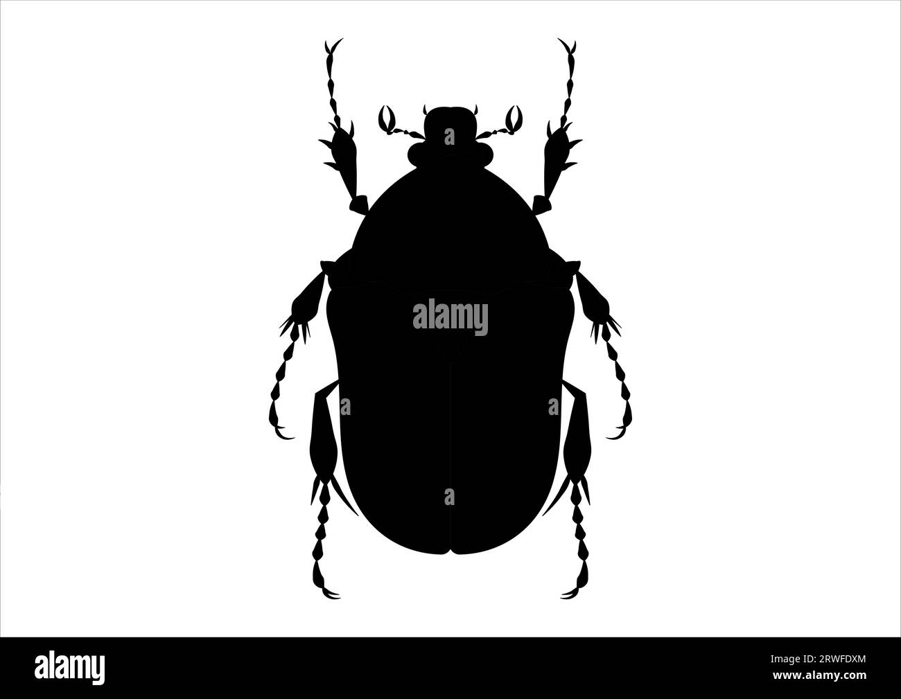 Petite chenille noir Banque d'images noir et blanc - Alamy
