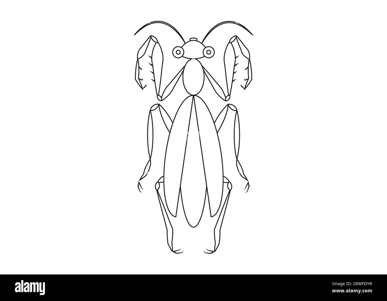 Noir et blanc priant Mantis Clipart. Coloriage d'un Grasshopper Illustration de Vecteur