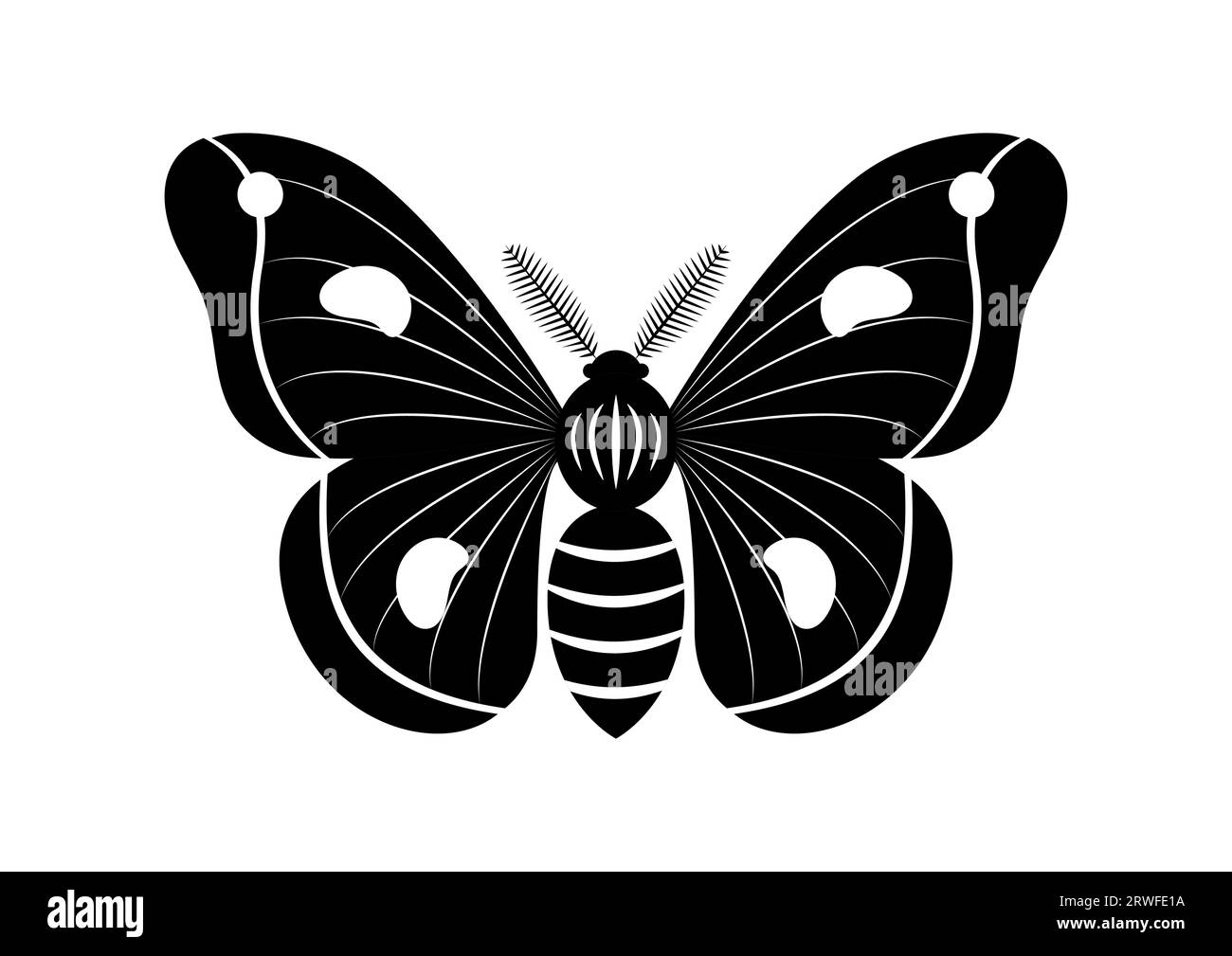 Vecteur de clipart d'insecte de papillon noir et blanc isolé sur fond blanc Illustration de Vecteur