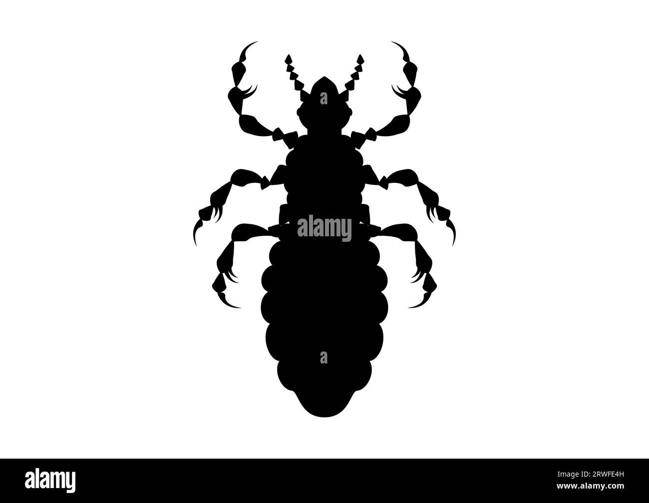 Noir et blanc Louse Clipart Vector isolé sur fond blanc Illustration de Vecteur