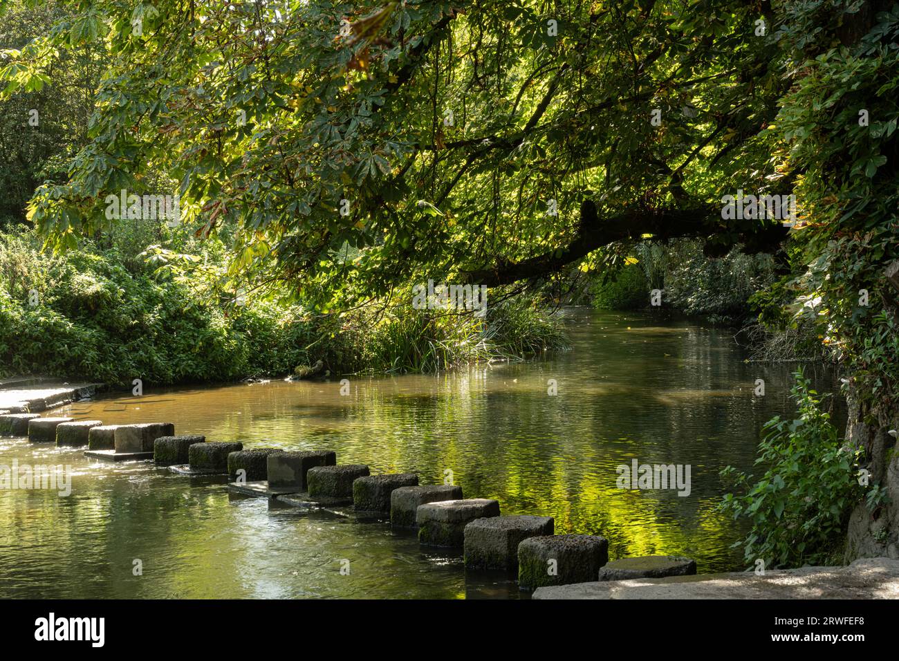 Stepping Stones over River Mole, Surrey, Royaume-Uni. Croisement ancien. Banque D'Images