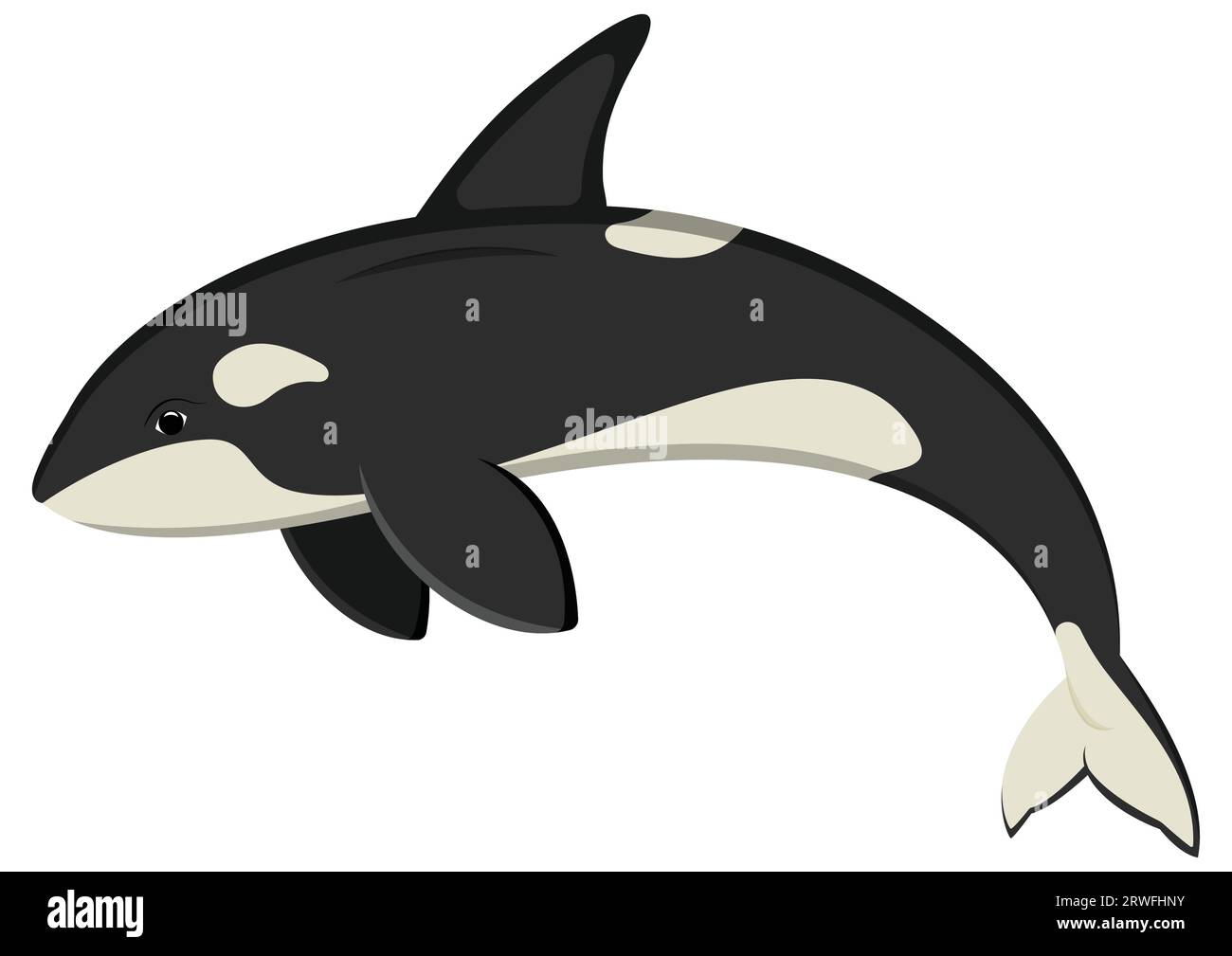 Personnage de dessin animé Ocean orca. Illustration vectorielle d'épaulards isolé sur fond blanc Illustration de Vecteur