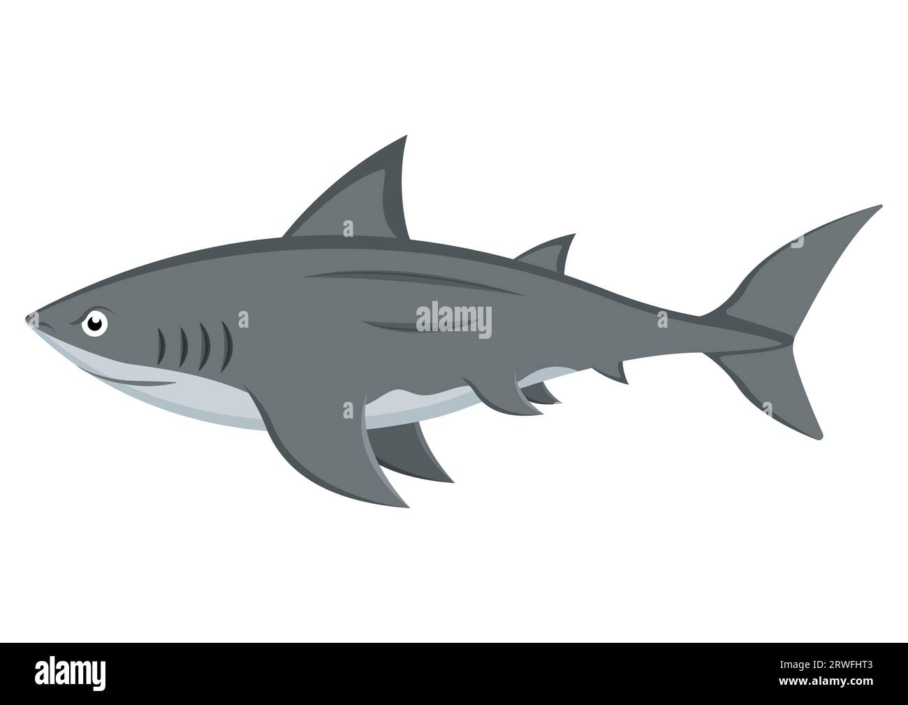 Vecteur de personnage de dessin animé requin isolé sur fond blanc Illustration de Vecteur