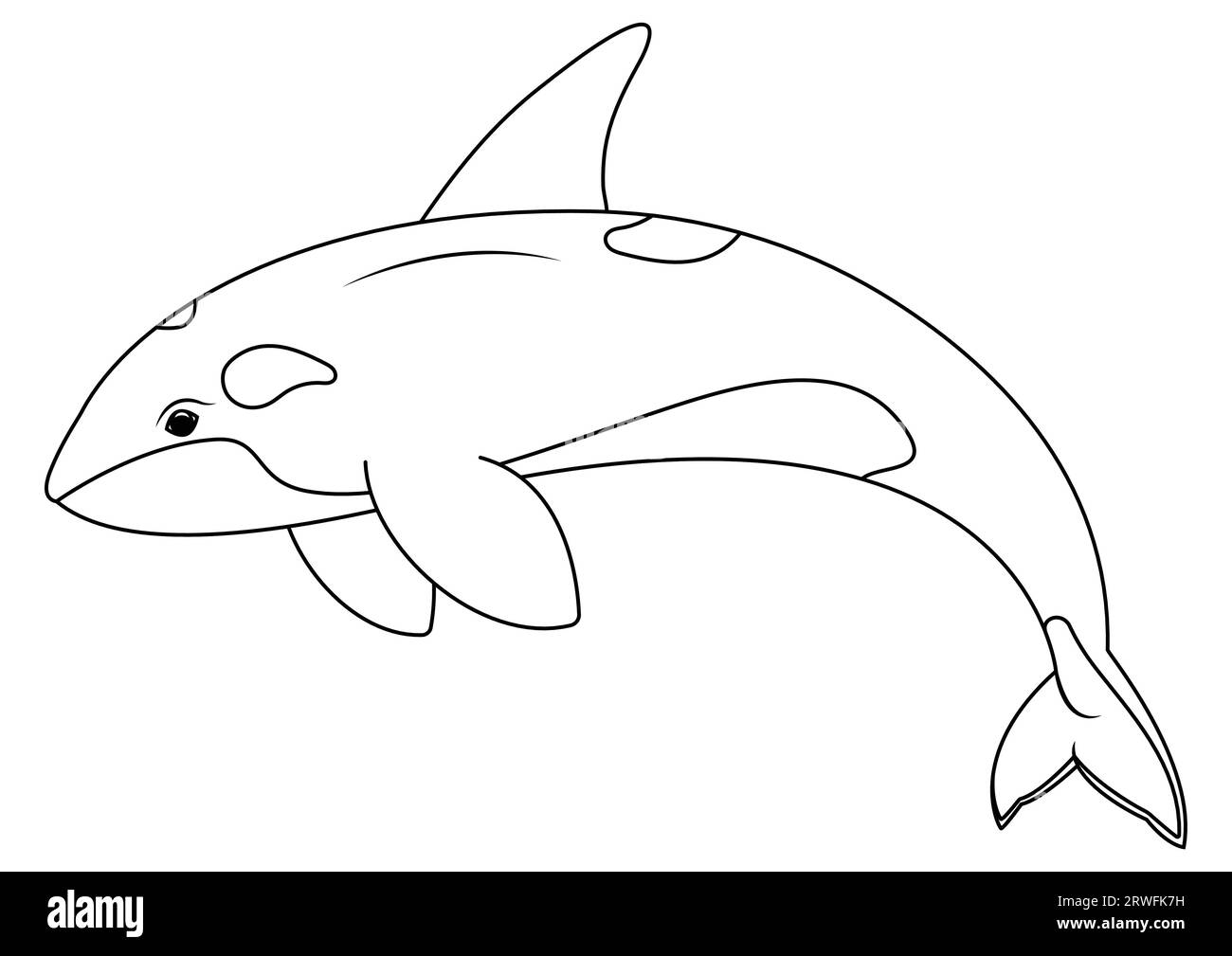 Vecteur de personnage de dessin animé d'orque noir et blanc. Coloriage de dessin animé orca Illustration de Vecteur