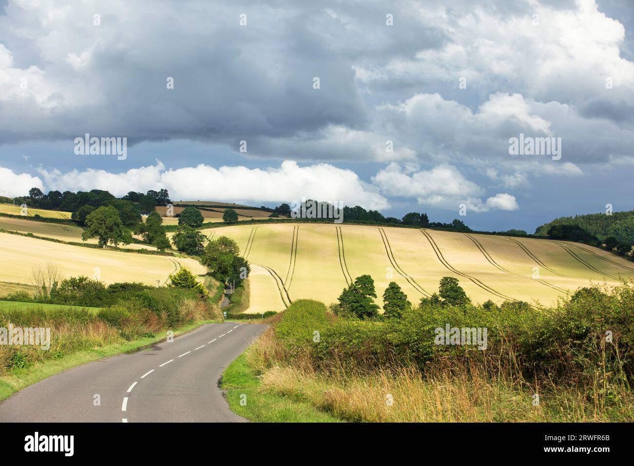 Terres agricoles près de Lydbury North, Shropshire. Banque D'Images