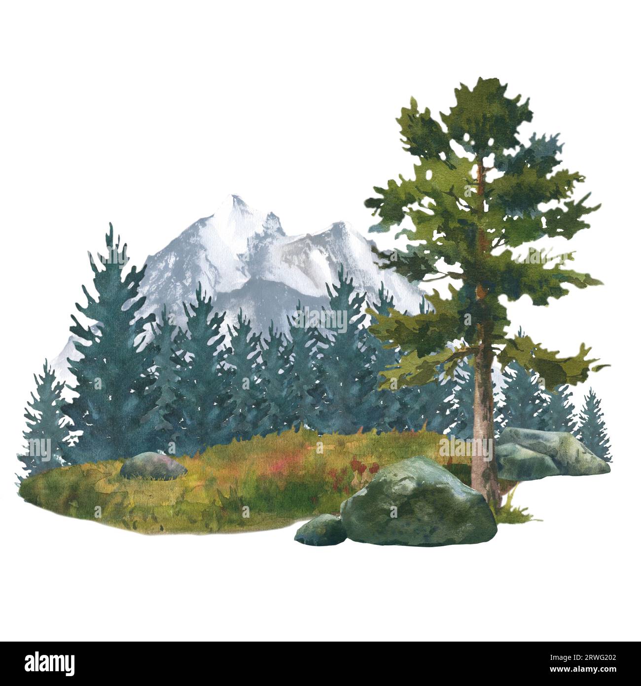 Paysage forestier avec des rochers et des arbres. Illustration d'aquarelle dessinée à la main isolée sur fond blanc Banque D'Images