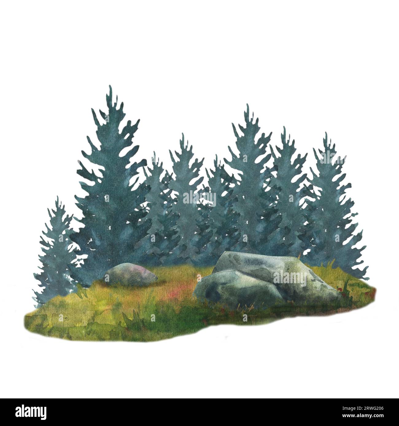 Paysage forestier avec des rochers et des arbres. Illustration d'aquarelle dessinée à la main isolée sur fond blanc Banque D'Images