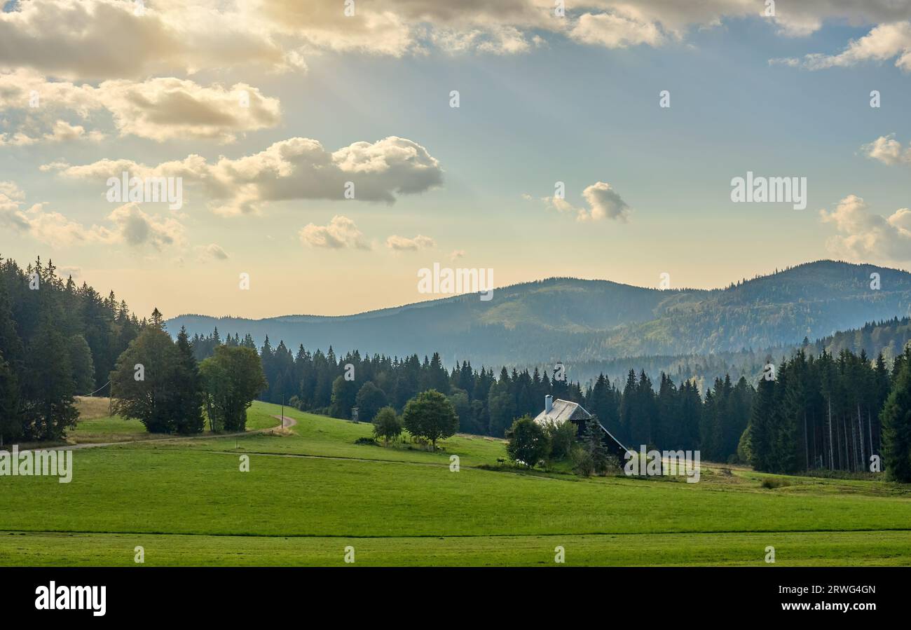 Paysage panoramique moody de la Forêt Noire avec maison de ferme typique au-dessous du sommet Feldberg près de Titisee-Neustadt, Baden Wuerttemberg, Allemagne Banque D'Images