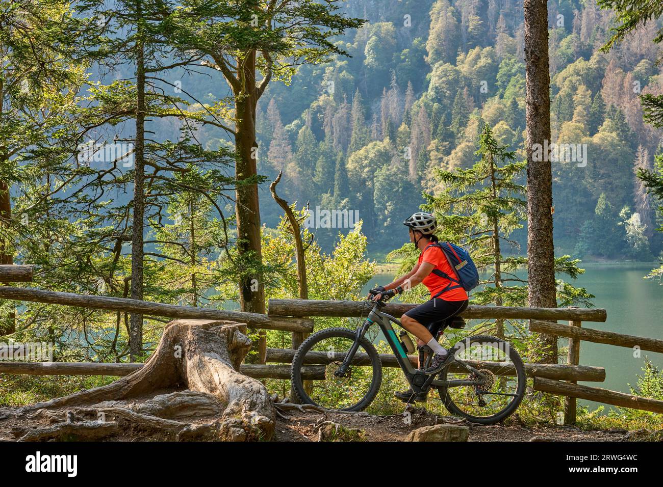 Belle femme senior sur son vélo de montagne électrique au lac Feldsee en dessous du sommet Feldberg, Forêt Noire, Allemagne Banque D'Images