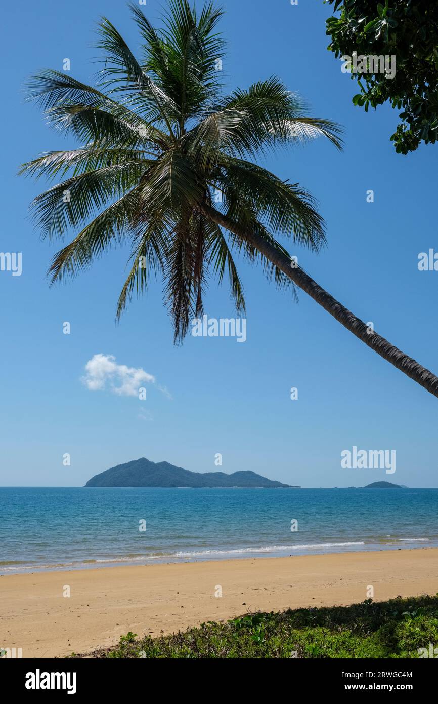 Dunk Island entourée d'un palmier à noix de coco, Wongaling Beach, Mission Beach, Queensland, Australie Banque D'Images