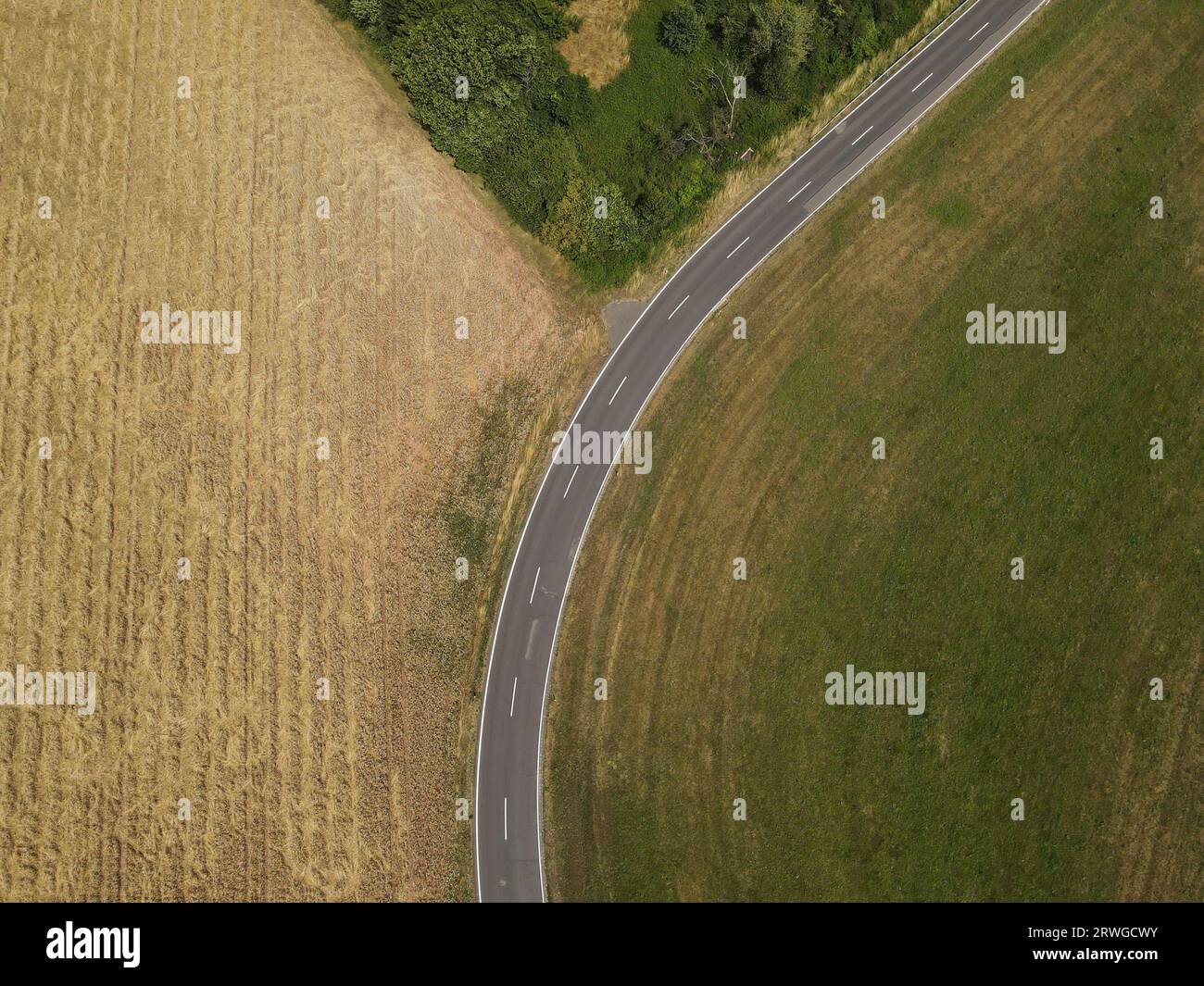 Vue aérienne d'une route entre arbres et champs d'herbe dans le paysage Banque D'Images