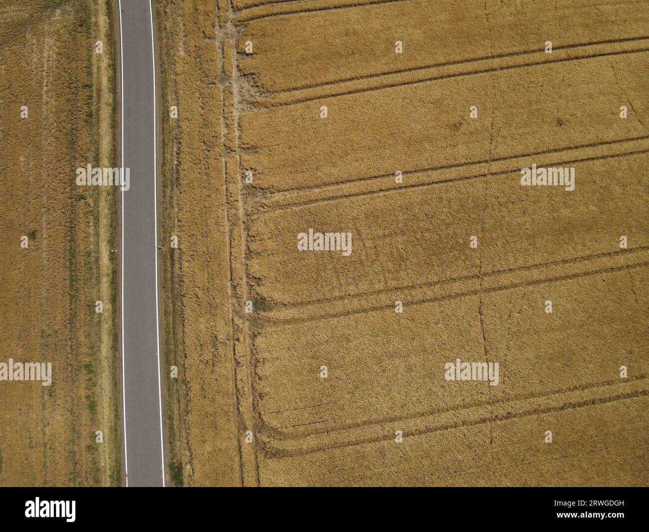 Vue aérienne d'une route entre les champs de culture et d'herbe dans le paysage Banque D'Images