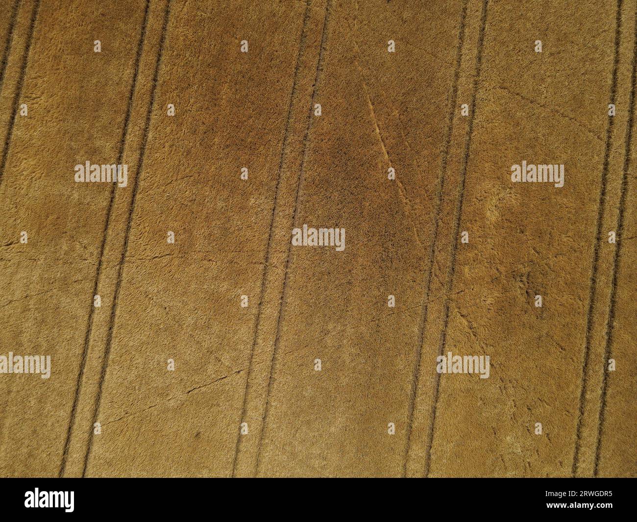 Champs de culture de couleur or mûr dans la campagne en été d'en haut Banque D'Images