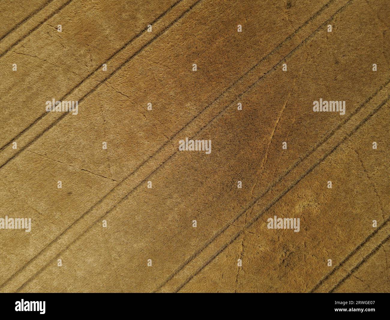 Champs de culture de couleur or mûr dans la campagne en été d'en haut Banque D'Images